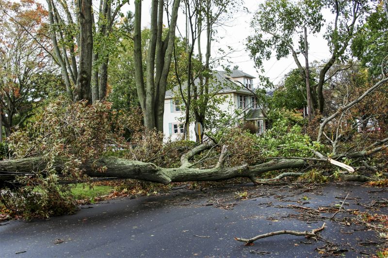 Clearing a Blocked Road