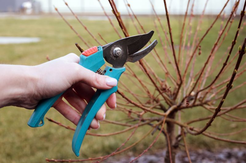 Pruning Tools